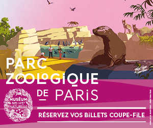 Banniere ZOO 2.jpg
